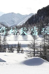 小作坊致富项目