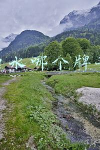 漱口水哪个牌子好