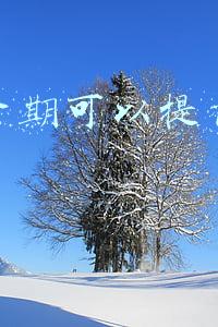 花呗分期可以提前还款吗
