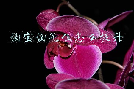淘宝淘气值怎么提升