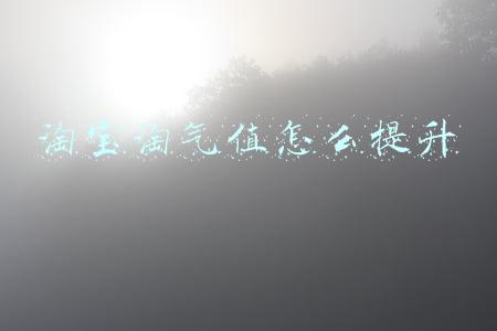 淘宝淘气值怎么提升