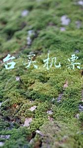 哪个平台买机票最便宜