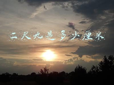二尺九是多少厘米