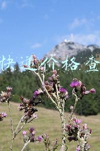 寄快递价格查询