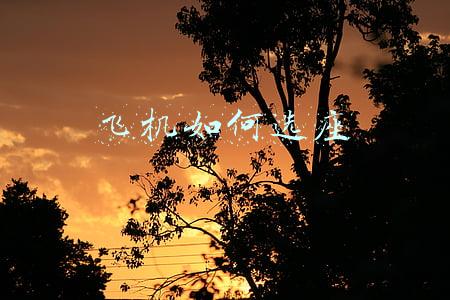 飞机如何选座