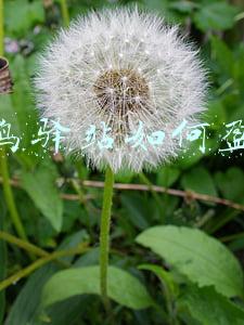 菜鸟驿站如何盈利