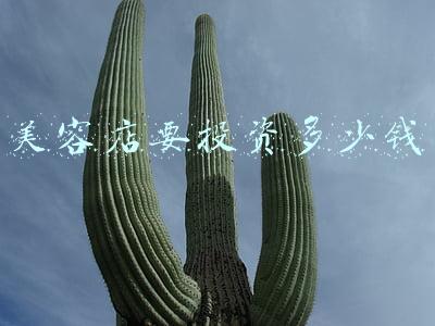 开美容院需要多少成本（开美容店投资多少）