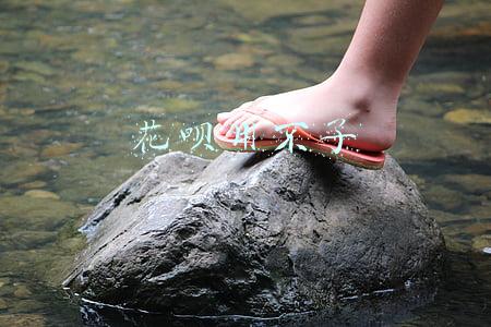 花呗用不了