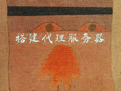 搭建代理服务器