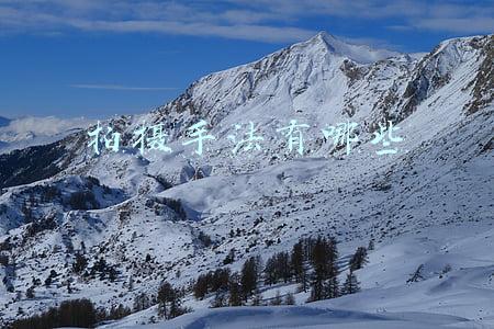 拍摄手法有哪些