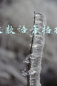 手机不在身边微信收款语音播报怎么设置(微信怎么设置收款语音实时播报？设置好它，收款到账听的更直接)