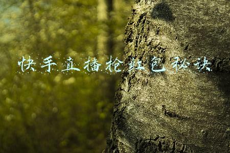 快手直播抢红包秘诀