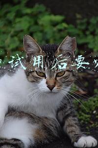 拼多多试用后要归还吗
