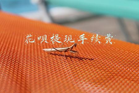 花呗提现手续费怎么收(花呗取现手续费多少？淘宝花呗额度最多多少钱？)