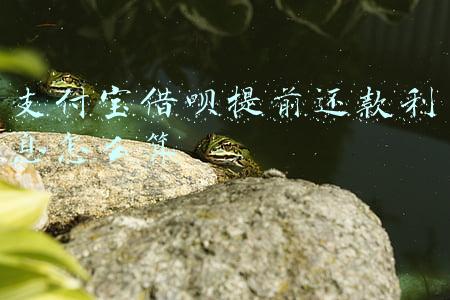 支付宝借呗提前还款利息怎么算