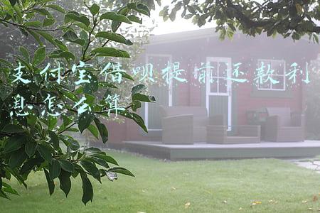 支付宝借呗提前还款利息怎么算