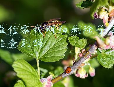 微信零钱明细删除了还能查到吗
