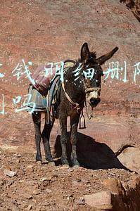 微信零钱明细删除了还能查到吗