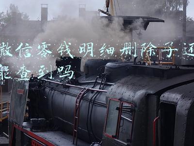 微信零钱明细删除了还能查到吗