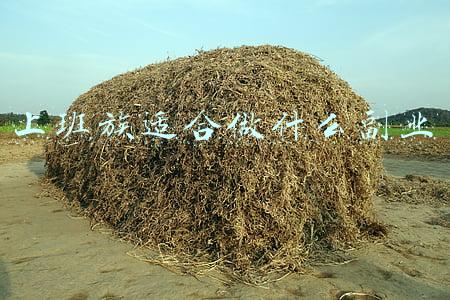 上班族适合做什么副业