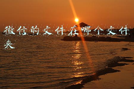 手机微信的文件在哪个文件夹(微信文件夹储存在什么位置？如何修改保存路径)