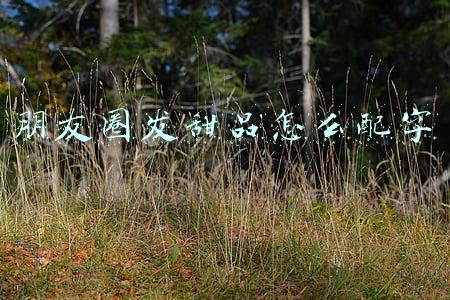 朋友圈发甜品怎么配字