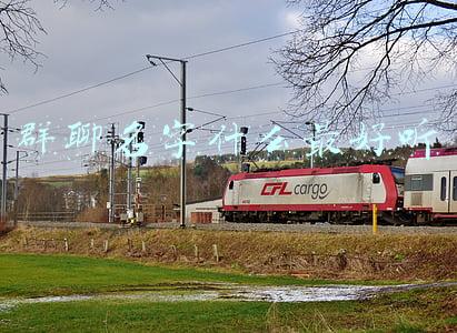 群聊名字什么最好听