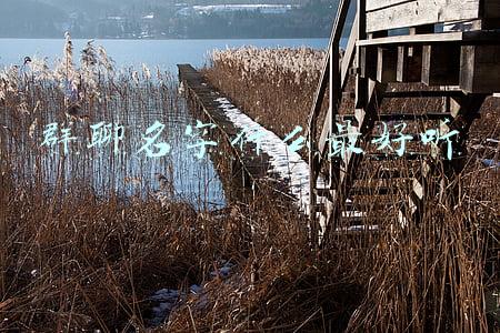 群聊名字什么最好听