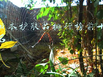 日本护肤品排行榜前十名