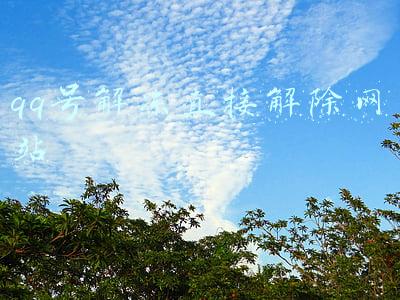 qq号解冻直接解除网站