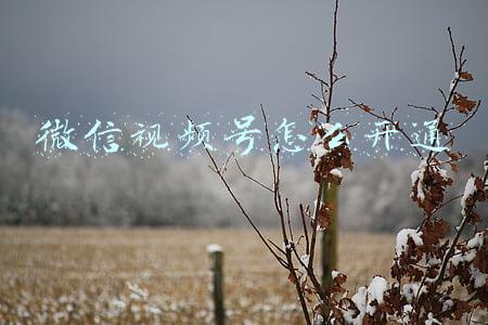 微信视频号怎么开通橱窗(微信商品橱窗功能上线 附开通地址)