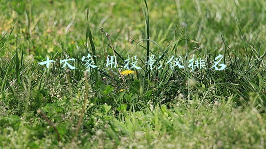 家用投影仪品牌十大排行榜(十大家用投影仪排名：「数码先生」盘点投影仪十大名牌)