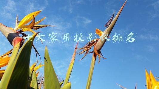 十大家用投影仪排名