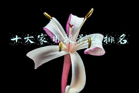 十大家用投影仪排名