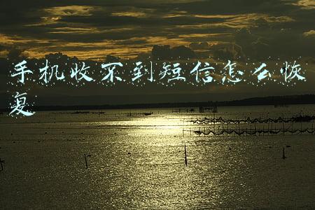 手机收不到短信怎么恢复