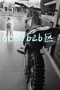 btoc与b2b区别