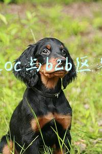 btoc和ctoc的区别(电子商务模式、缩写名词)