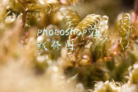 photoshop在线修图