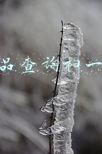 纪梵希正品查询扫一扫(散粉界的天花板：有钱买纪梵希四宫格，贵妇级cpb光纱隐形毛孔)