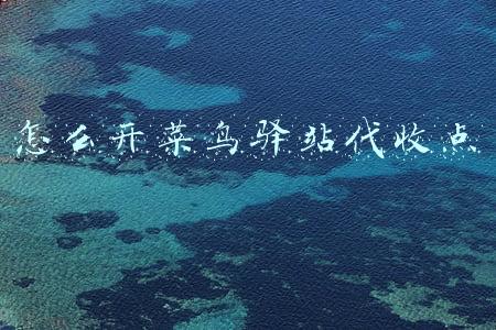 怎么开菜鸟驿站代收点
