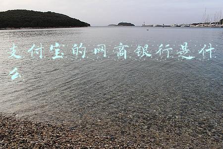 支付宝的网商银行是什么