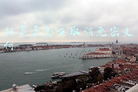 拼多多怎么取消免密支付