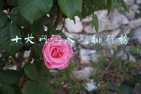 十大网游人气排行榜