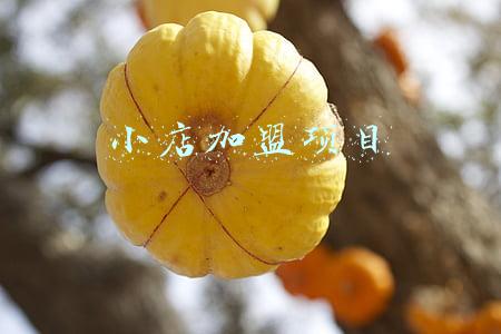 小店加盟项目