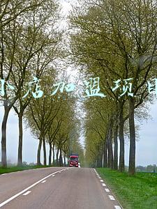 小店加盟项目外卖(外卖加盟哪个品牌生意好)