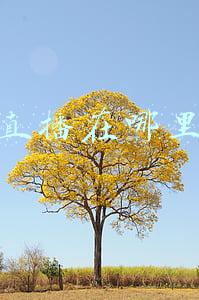 快手直播在哪里打开