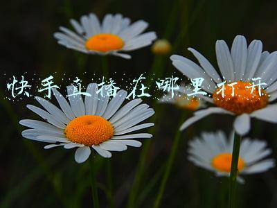 快手直播在哪里打开