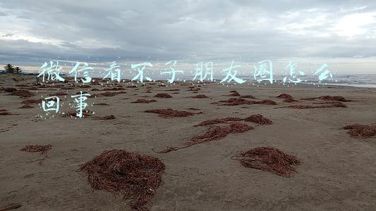 微信看不了朋友圈怎么回事