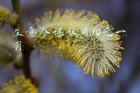 生意参谋租用10元一月