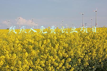 残疾人免费创业项目